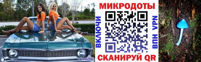 Галлюциногенные грибы Cubensis  OMG как зайти  Сухиничи 